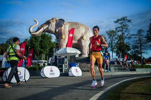 BIB: 
                            <button type="button" onclick="openModal(26541755)" class="btn btn-primary btn-sm float-right btn-popup" data-toggle="modal" data-target=".modal-high-quality">
                        <i class="fas fa-shopping-cart"></i> Add to Cart
                    </button>
                                            <button type="button" onclick="isThisMe(26541755, true)" class="btn btn-success btn-sm float-right btn-popup btn-isme hidden" data-toggle="tooltip" data-placement="bottom" title="นี่คือรูปของคุณใช่ไหม คลิกที่นี่เพื่อเอาเข้าอัลบั้ม">
                        <i class="fas fa-plus"></i> Add to album
                    </button>
                    <button type="button" onclick="isThisMe(26541755, false)" class="btn btn-warning btn-sm float-right btn-popup btn-isnotme hidden">
                        <i class="fas fa-ban"></i> Remove from album
                    </button>